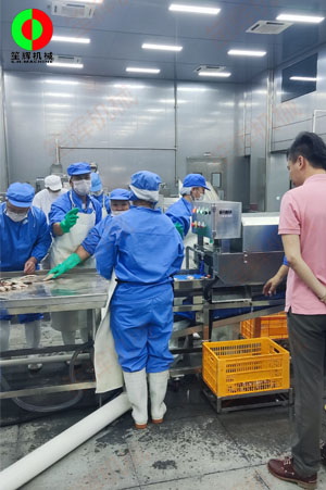 广东中山某大型水产加工设备落成现场！